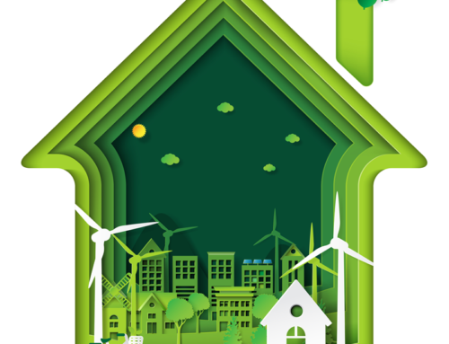 Is the Eco Scheme The Same As Green Home Grants?